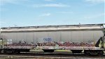 CRDX 14581